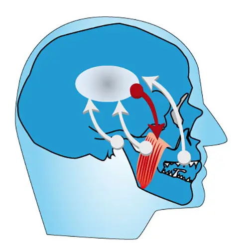 CMD Praxis F r Ganzheitliche Medizin Marco Kr mer